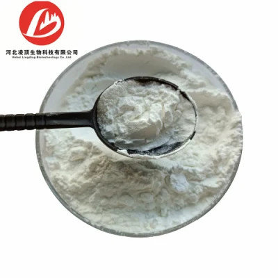 Raw Materials of Health Care Products Choline Glycerophosphate CAS 28319