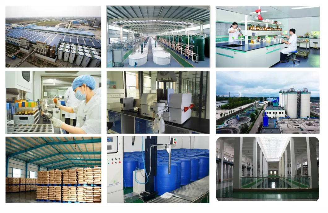 Factory Supply D-Sorbitol Powder/ Sorbitol Manufacturer