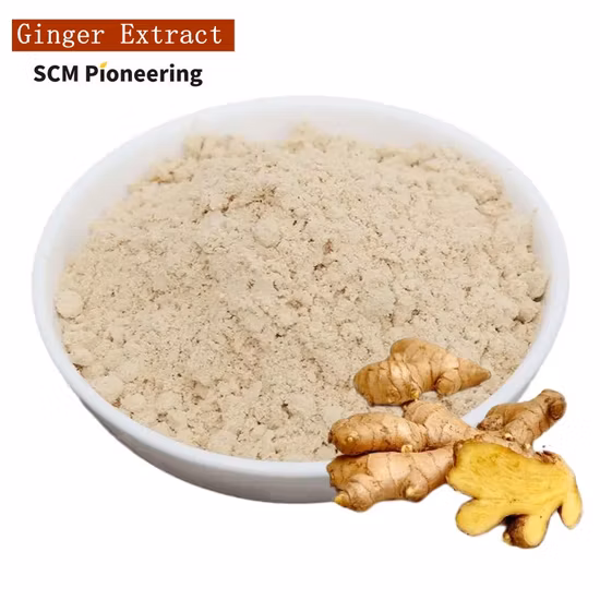 High Quality Natural Stevia Powder Sweetener Kosher, Halal Organic as Food Addtive